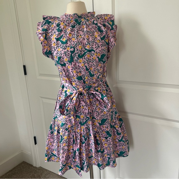 Banjanan Dresses & Skirts - $380 BANJANAN size S Bulbul's Sister Ruffled Mini Dress Delph Bird Peony Pink